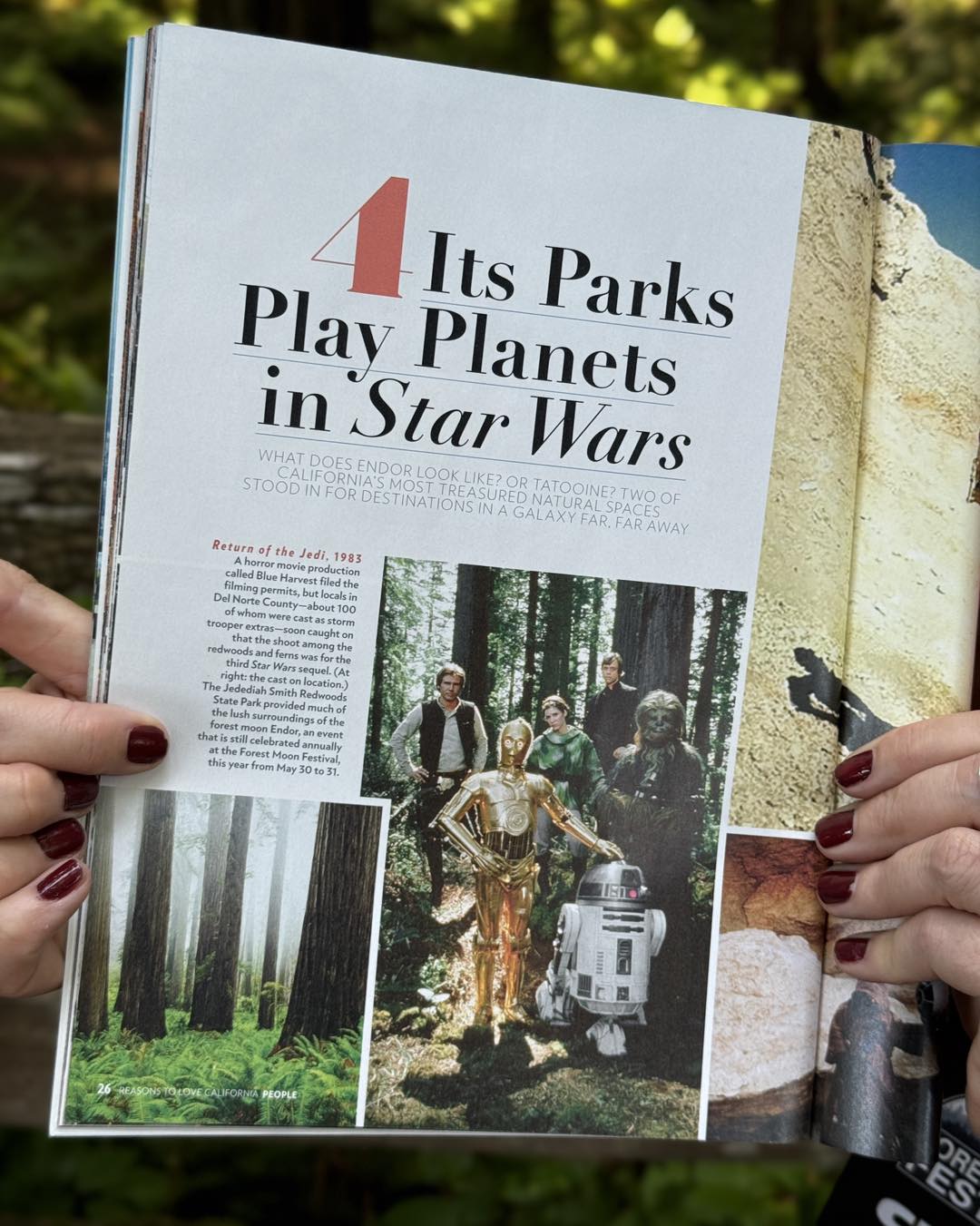 Forest Moon in People's Magazine